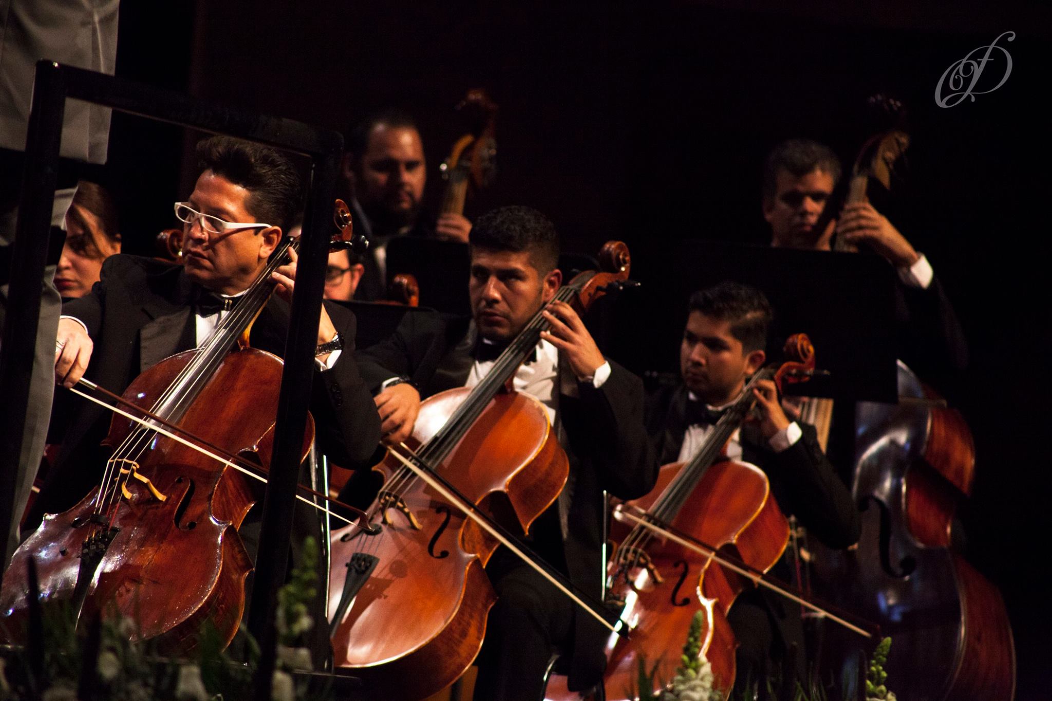 Invita La Orquesta Filarm Nica Del Desierto A Su Primer Concierto De