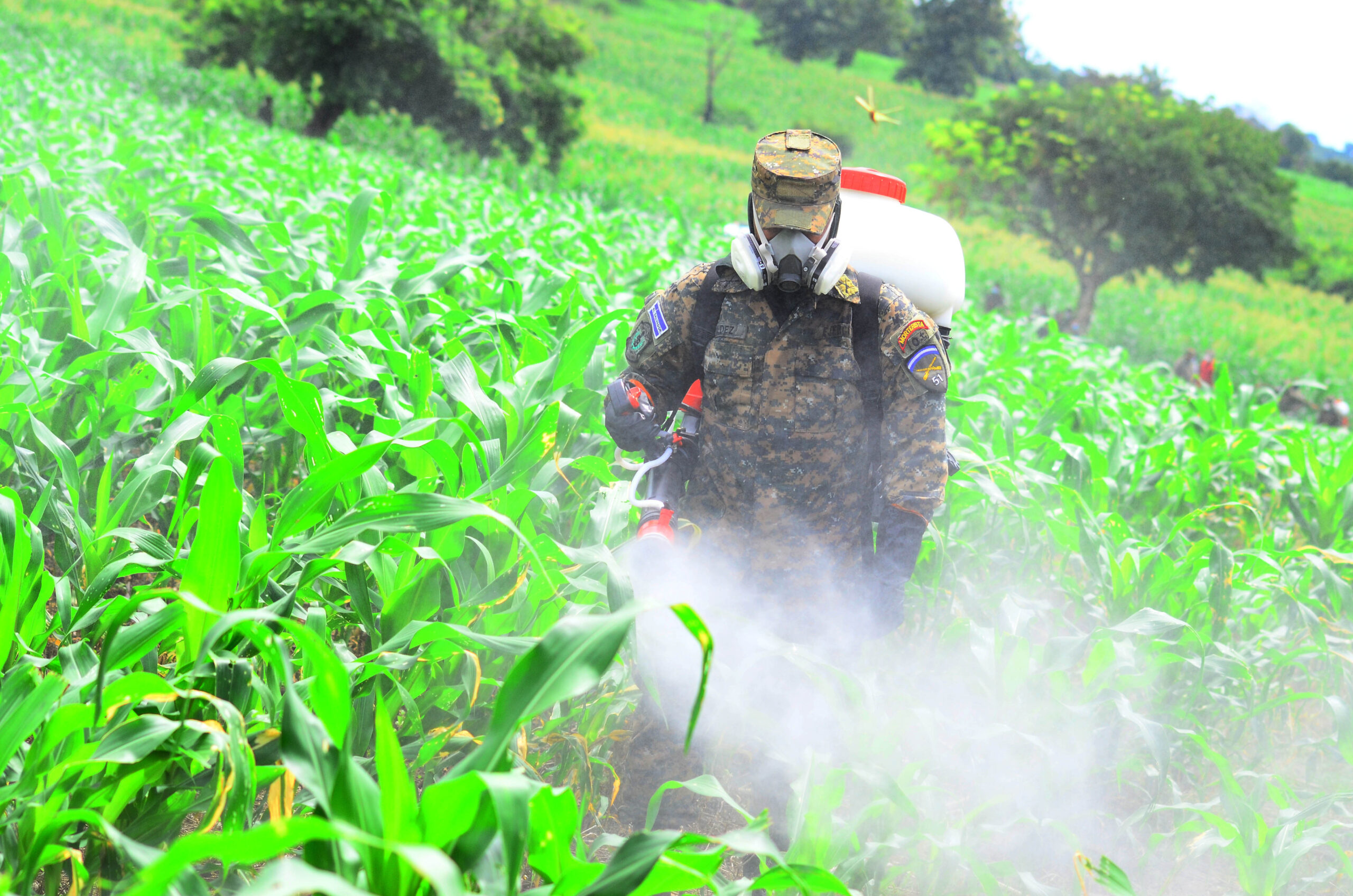 El Cambio Clim Tico Aumentar El Riesgo De Propagaci N De Plagas Fao