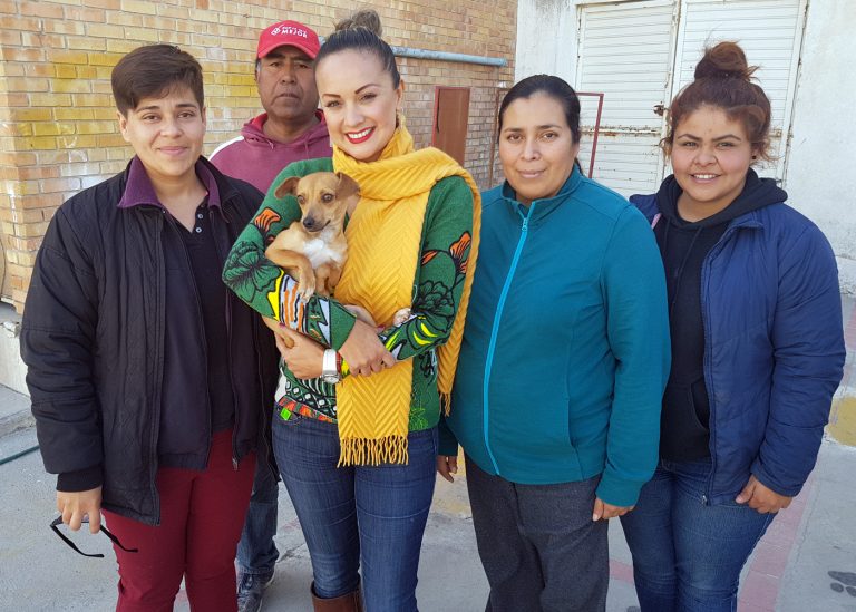 Mascotas esperan la oportunidad de un hogar