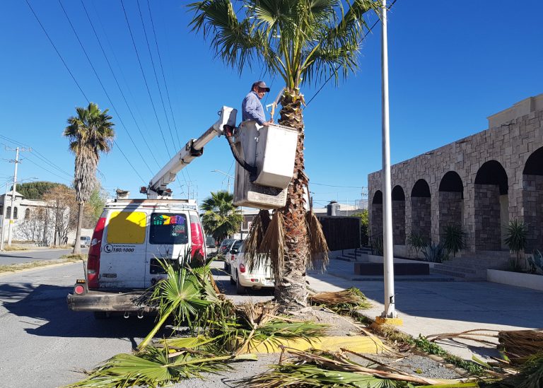 Trabajan cuadrillas embelleciendo Ramos Arizpe