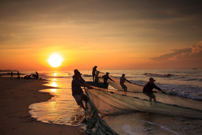 Países de América Latina y el Caribe acuerdan prioridades para una pesca sostenible