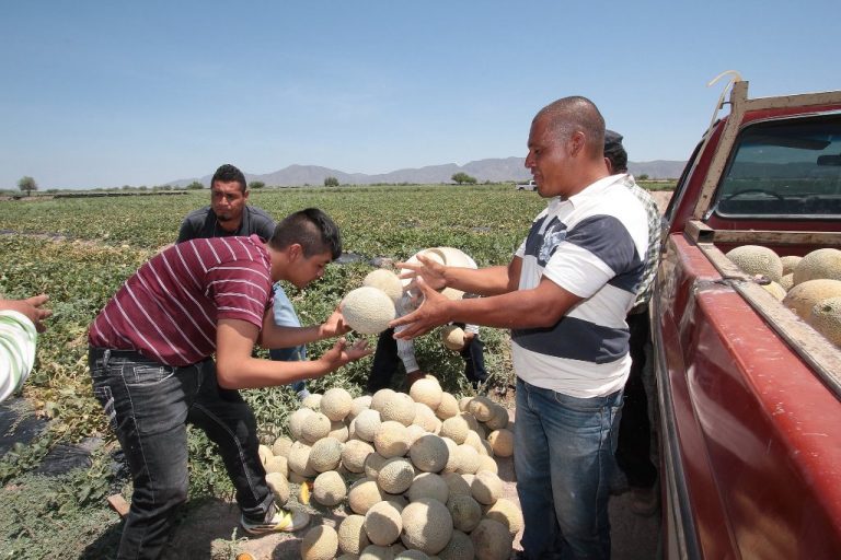 Comprometido Miguel Riquelme con el campo coahuilense