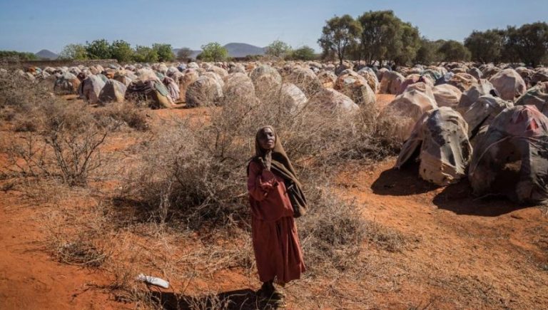 La FAO pide ayuda para luchar contra el hambre