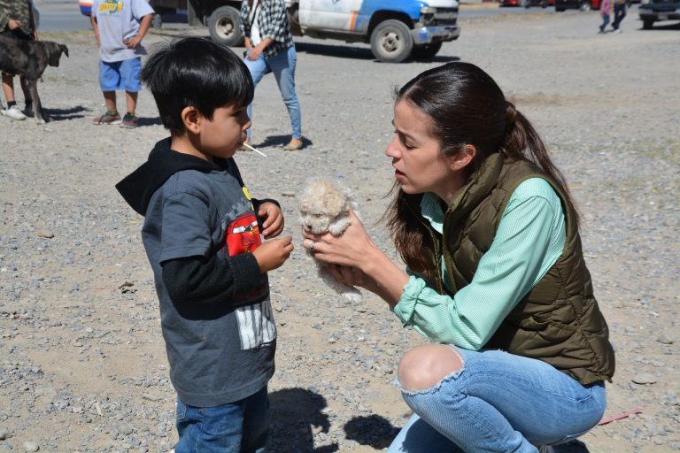 Llega «Mercadito por Ti Saltillo» al Poniente de la ciudad