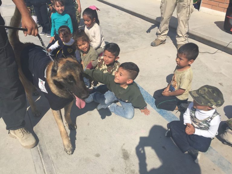 Muestra Comisión de Seguridad a mil 300 niños la unidad canina