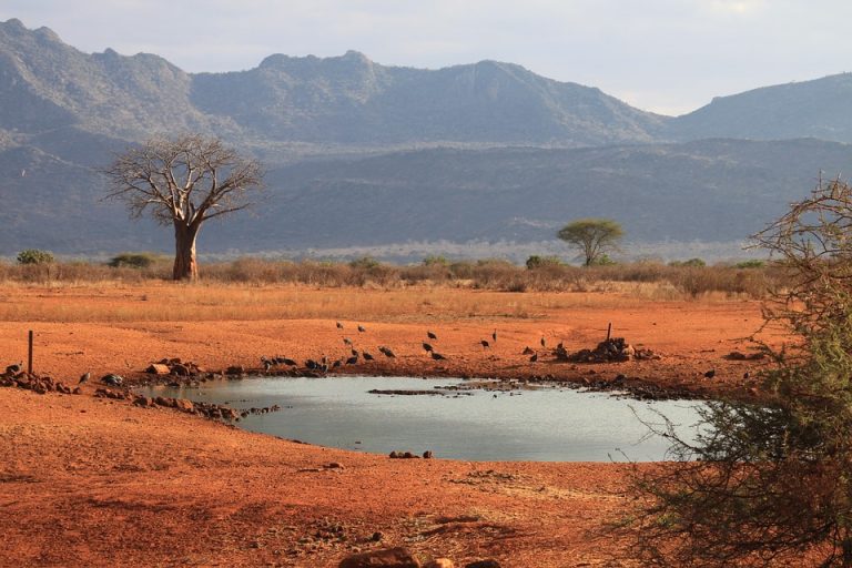 Científico advierte sobre intenso calor y reducción de agua en Kenia