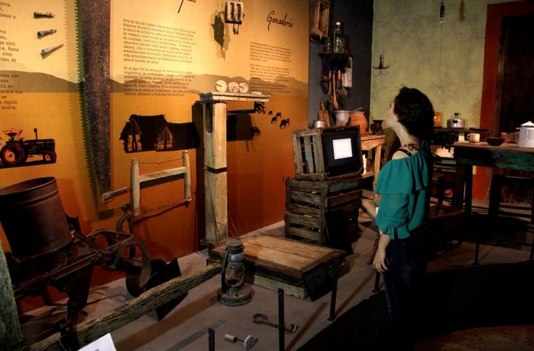 Los 13 museos estatales esperan más de 20 mil visitantes en período vacacional