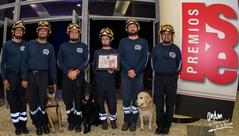 Reciben binomios caninos de la UNAM Premio Nacional de Seguridad y Emergencias