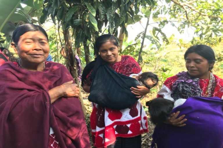 Seguimos en los montes, no lo olviden, advierte desplazada de Chalchihuitán