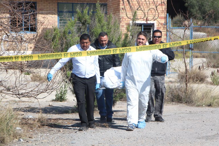 Localizan hombre sin vida siendo devorado por perros