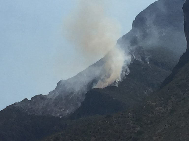 Tardaría hasta 20 años en recuperarse zona afectada por incendio