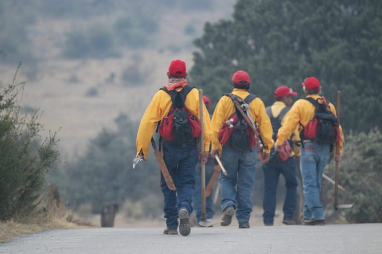 Controlado en un 40% el incendio en Zapalinamé