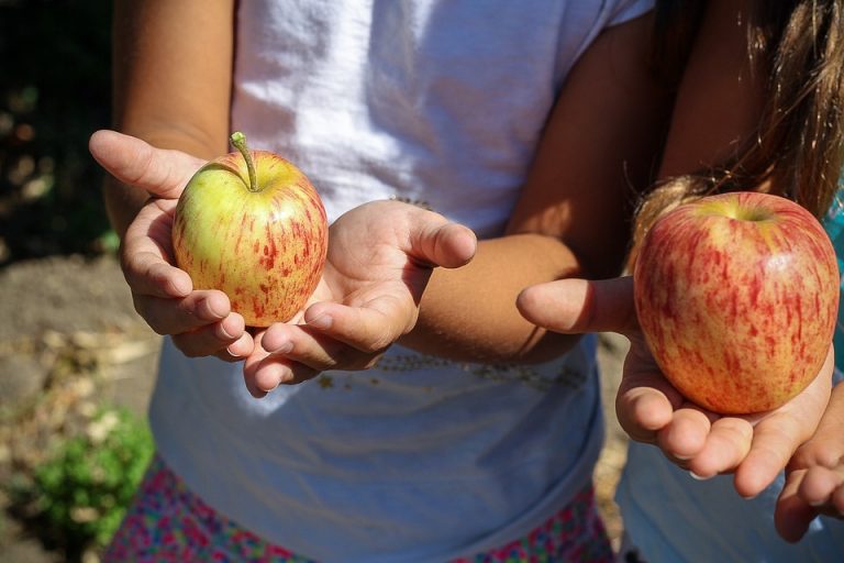 Recomienda IMSS alimentación saludable para los infantes durante las vacaciones