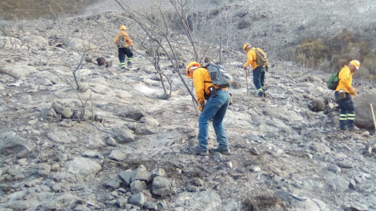 Se tiene avance del 50% en el combate al fuego en la Sierra de Zapalinamé