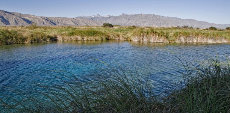 Insisten en reservar agua de Cuatro Ciénegas para fines ecológicos