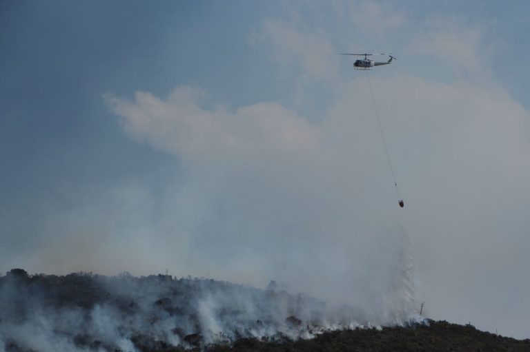 Liberan a dos de los presuntos responsables del incendio 