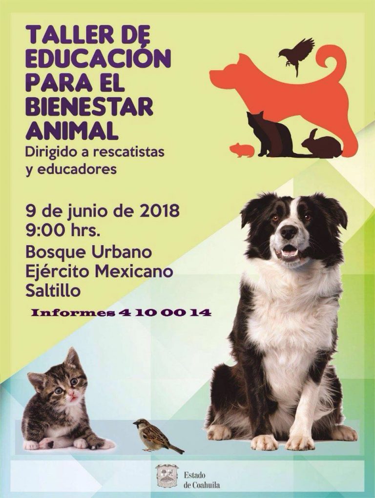 Invitan a coahuilenses a taller de educación para el bienestar animal