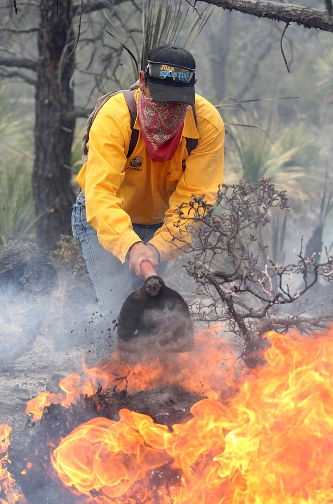 Permanente vigilancia para detectar incendios forestales en el área natural de Sabinas