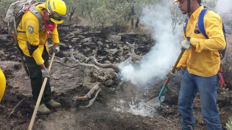 Destina Comisión Nacional Forestal 200 millones de pesos para reforestación en Coahuila