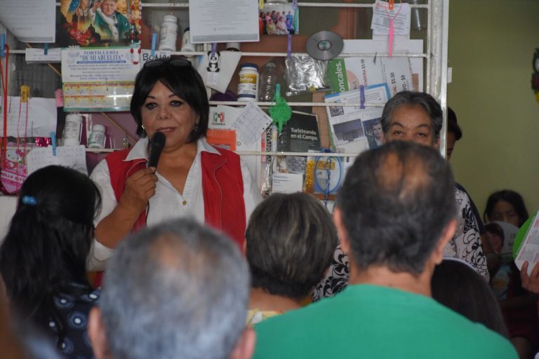 Debemos revisar los programas sociales desde el Congreso de la Unión: Martha Garay