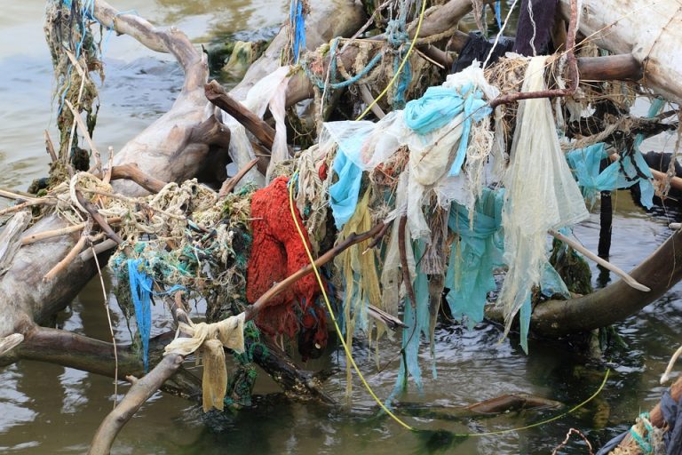 Desde 2010 hay un 30% menos de bolsas de plástico en el mar ¿Cómo se ha logrado?