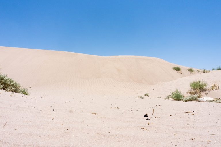 Las Dunas de Bilbao en Viesca, una excelente opción para visitar en Coahuila