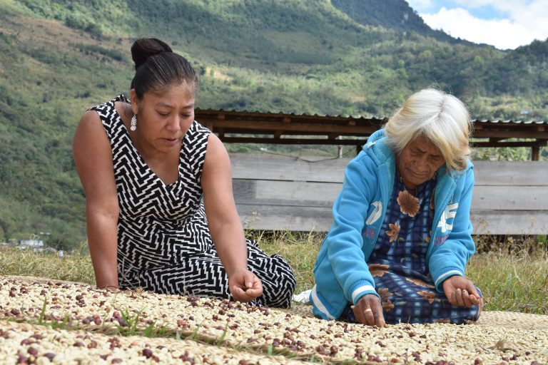 Lideresa indígena zapoteca gana concurso de fotografía de FAO, FIMI y Notimia