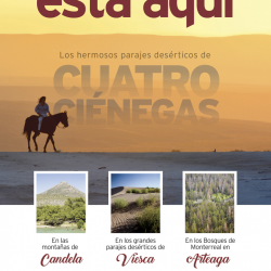 Roba-Plana_Turismo_Pueblos-Mágicos_Aventura_24X40