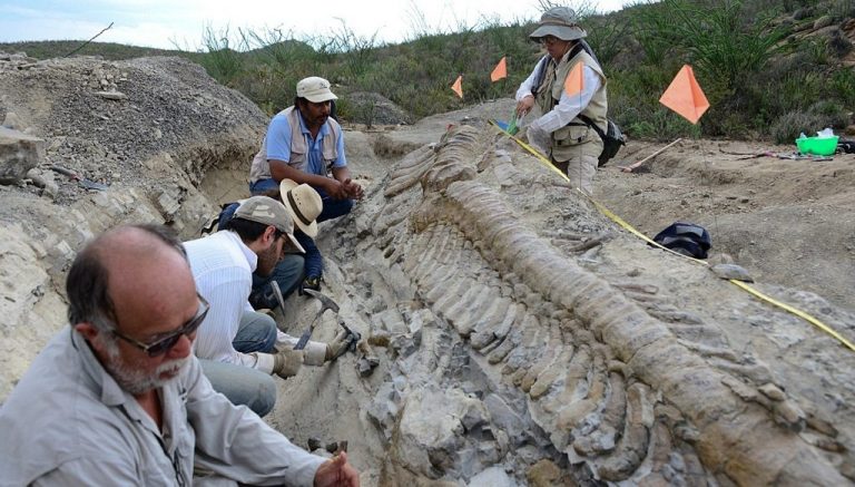 A punto de agotarse lugares para Diplomado en Paleontología impartido por el Museo del Desierto