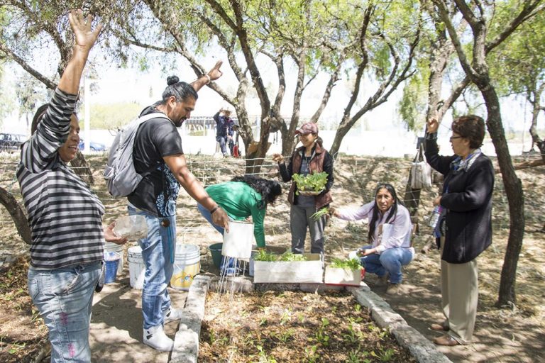 Implementan prácticas de manejo sostenible de la tierra