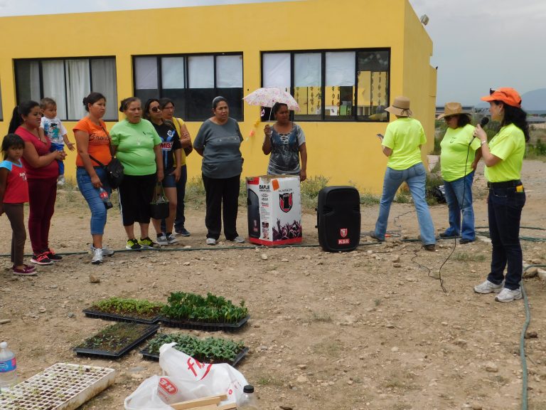 Organiza la Casa de los Niños de Saltillo, taller de Huertos Familiares