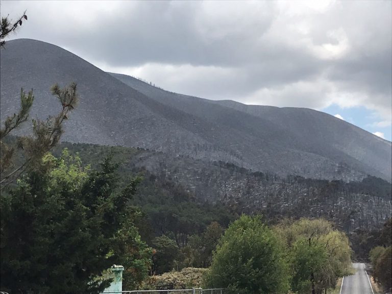 Casi extinto incendio de la Sierra de Arteaga