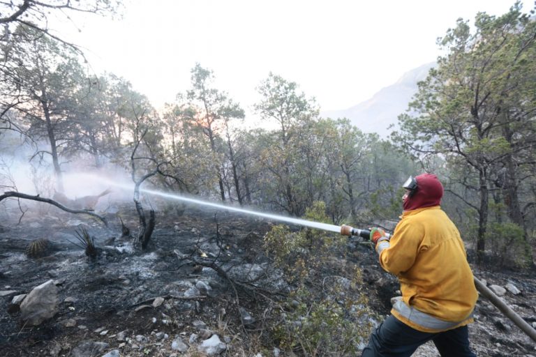 Estiman 600 hectáreas afectadas en incendio