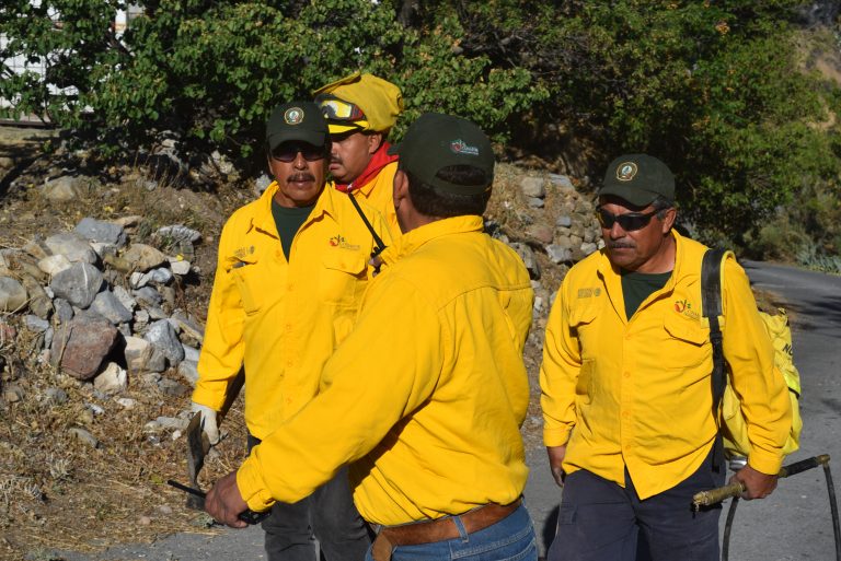 Héroes controlan al 40% incendio en Sierra de Arteaga