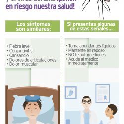 Roba-Plana_Salud_Dengue-2_24x40