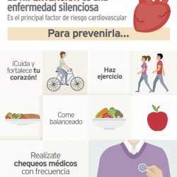 Roba-Plana_Salud_Hipertencio¦ün-1_24x40