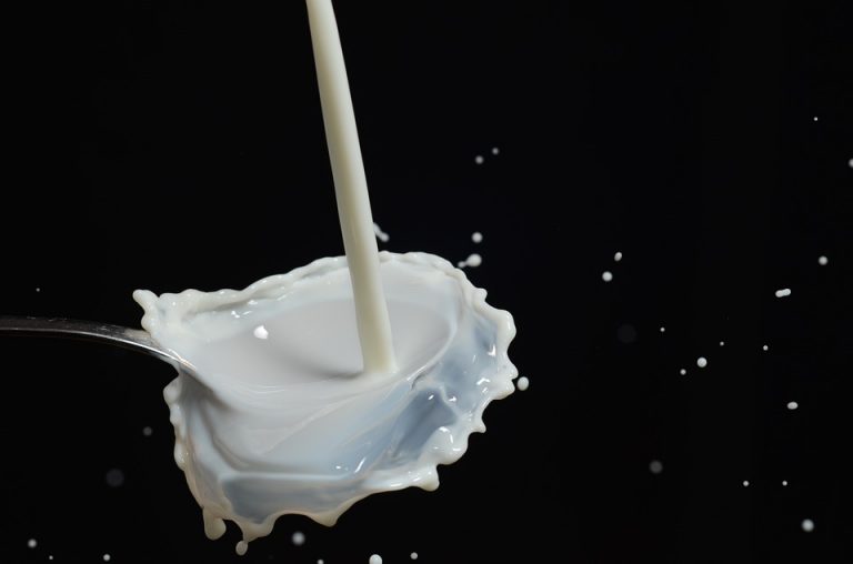 Investigadores mexicanos estudian proteína de la leche como ayudante en tratamientos contra infecciones