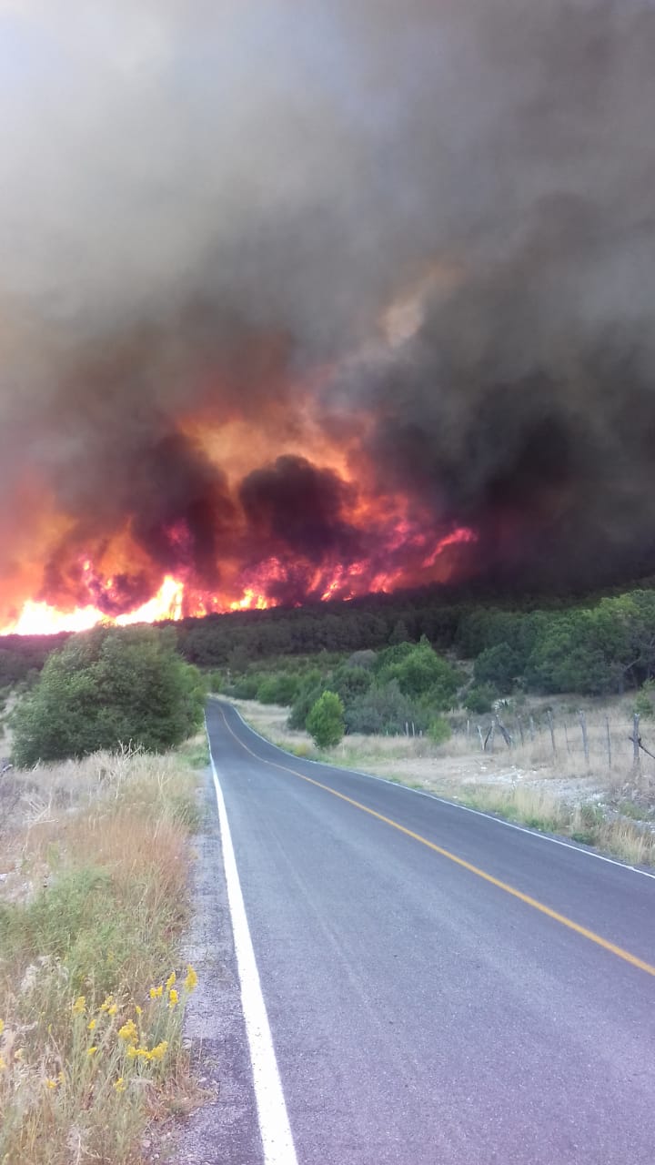 Fuerte incendio forestal se registra en Arteaga