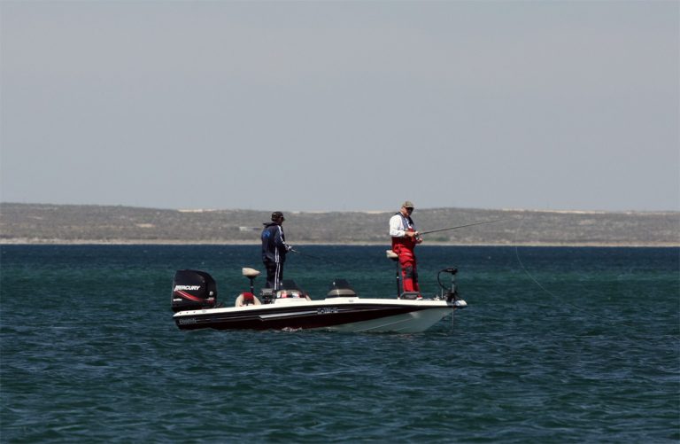 Pescadores y ambientalistas trabajan para eliminar la plaga “pez diablo” en Progreso