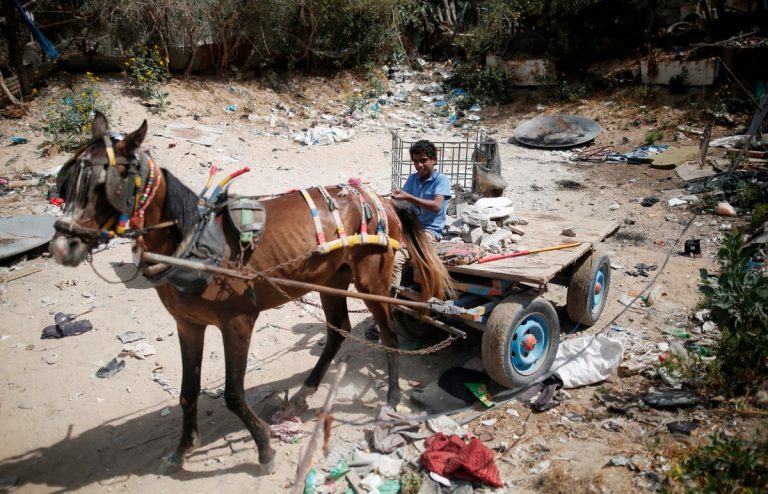 Unos 73 millones de niños trabajan en condiciones peligrosas