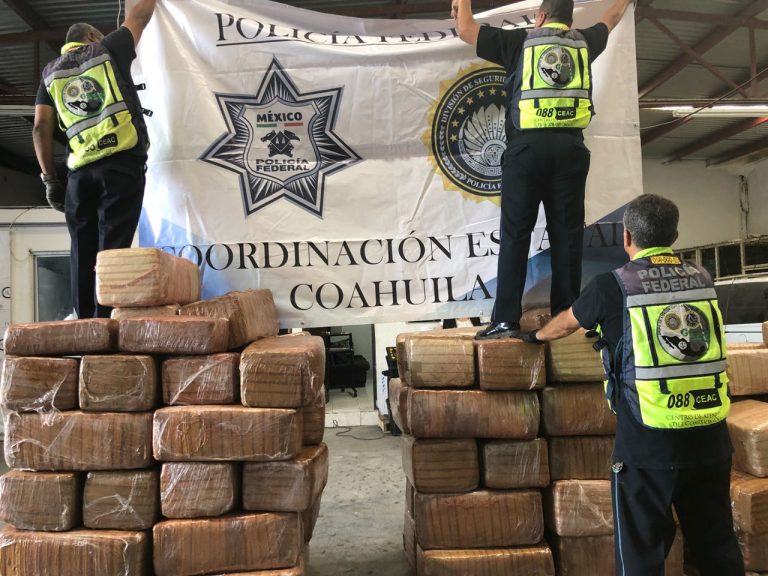 Aseguran agentes federales casi una tonelada de marihuana en Saltillo