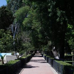 Da municipio mantenimiento permanente a la Alameda Zaragoza (2)