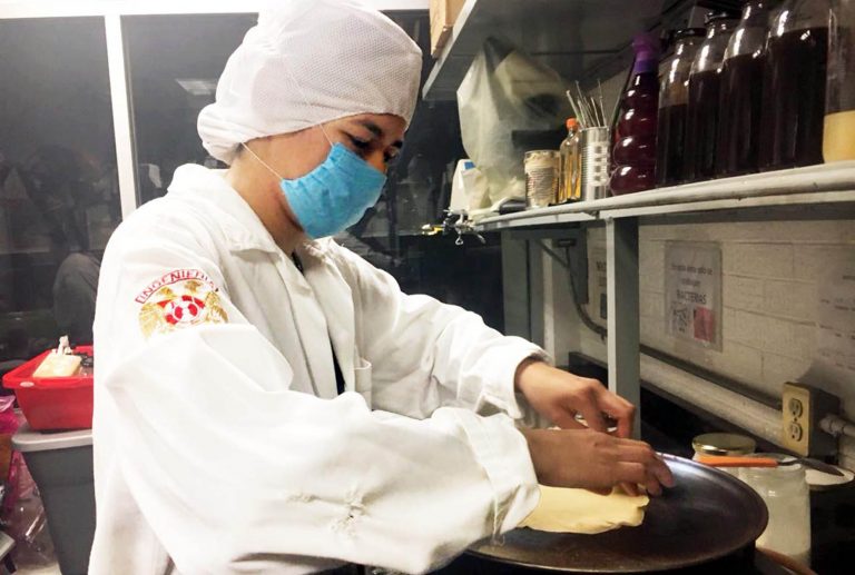 Desarrollan en la UNAM tortillas de harina contra desnutrición, obesidad y diabetes