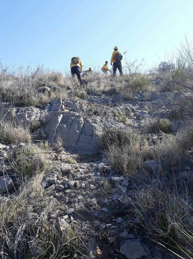 Liquidado al 100 por ciento incendio forestal de Arteaga