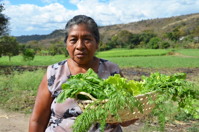 Realiza UA de C estudios sobre vida y trabajo en mujeres urbanas y del campo