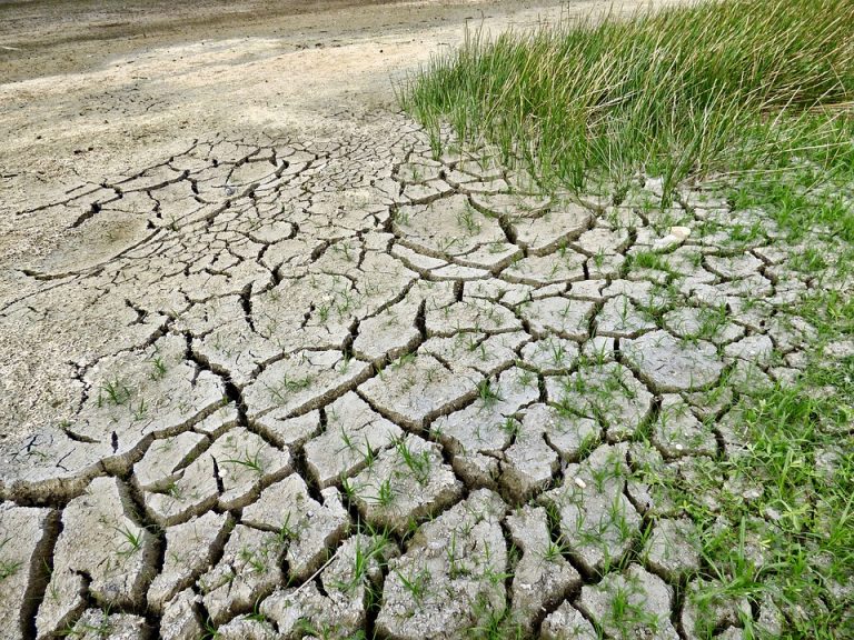 Cinvestav desarrolla estrategias de mitigación y adaptación al cambio climático en Coahuila