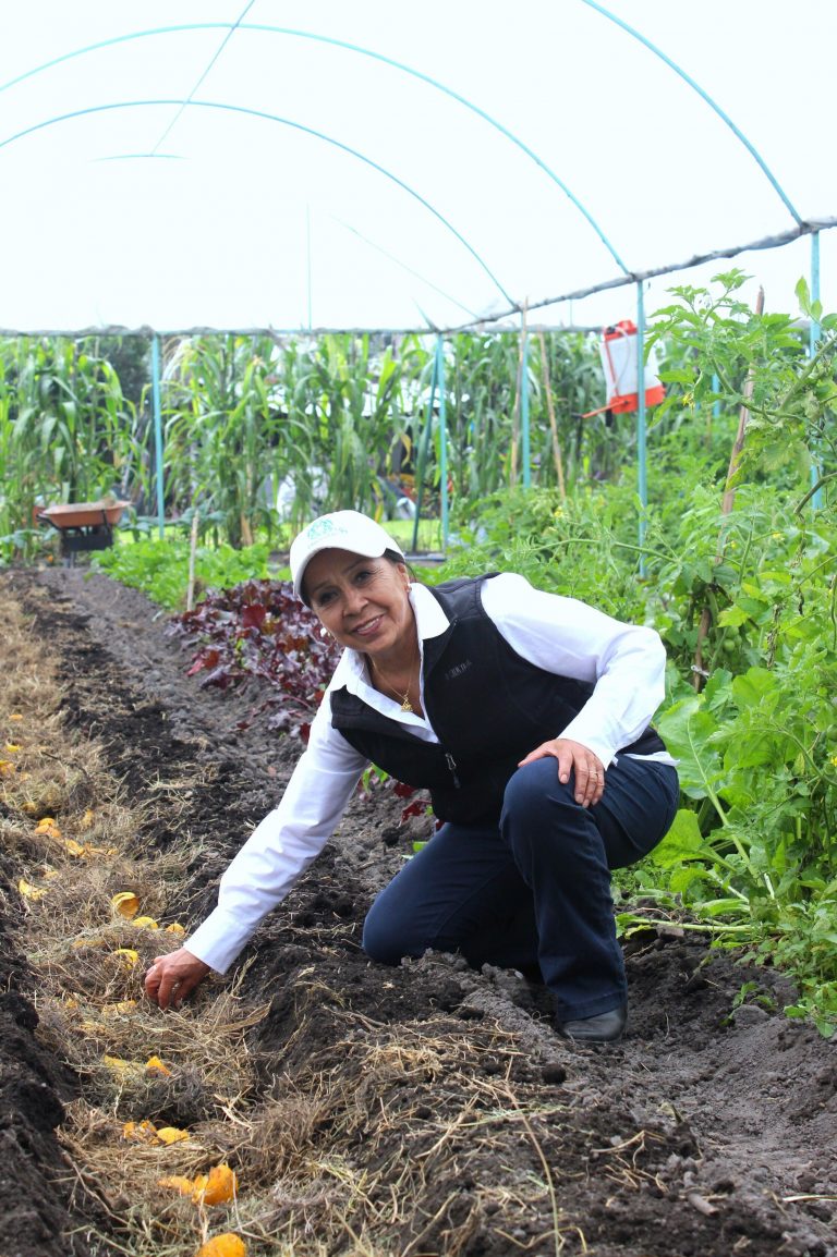 Investigadora del Cinvestav recibe el Premio al Mérito Ecológico 2018
