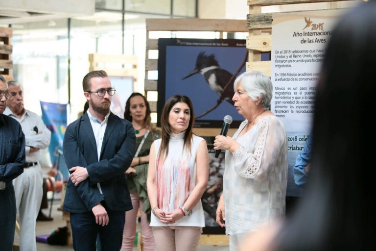 Presentan exposición colectiva Aves de Coahuila