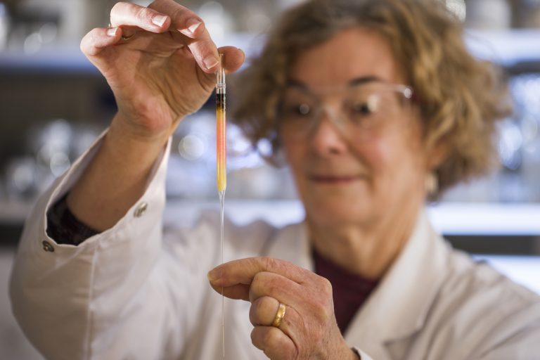 Rosa brillante, el color más antiguo del mundo