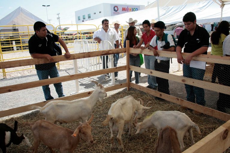 Todo listo para la Expo Agroindustrial y Ganadera 2018